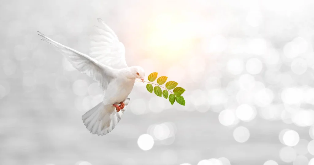 dove-01